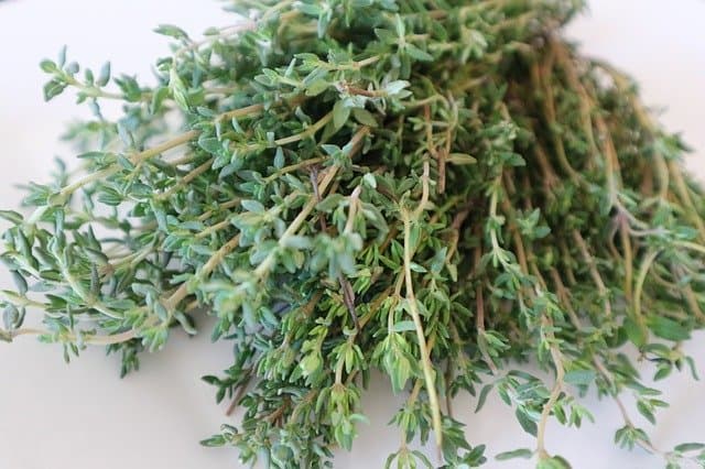 essential cooking herbs