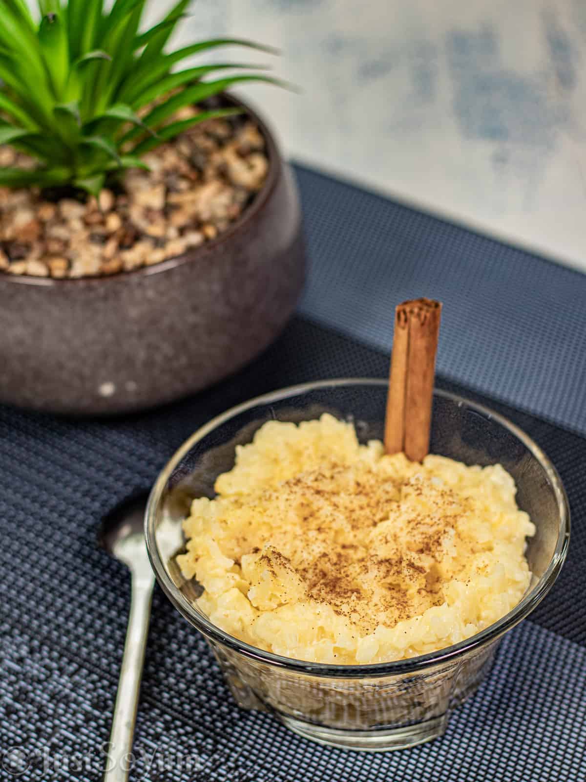 website-image-for-easy-vanilla-rice-pudding-recipe