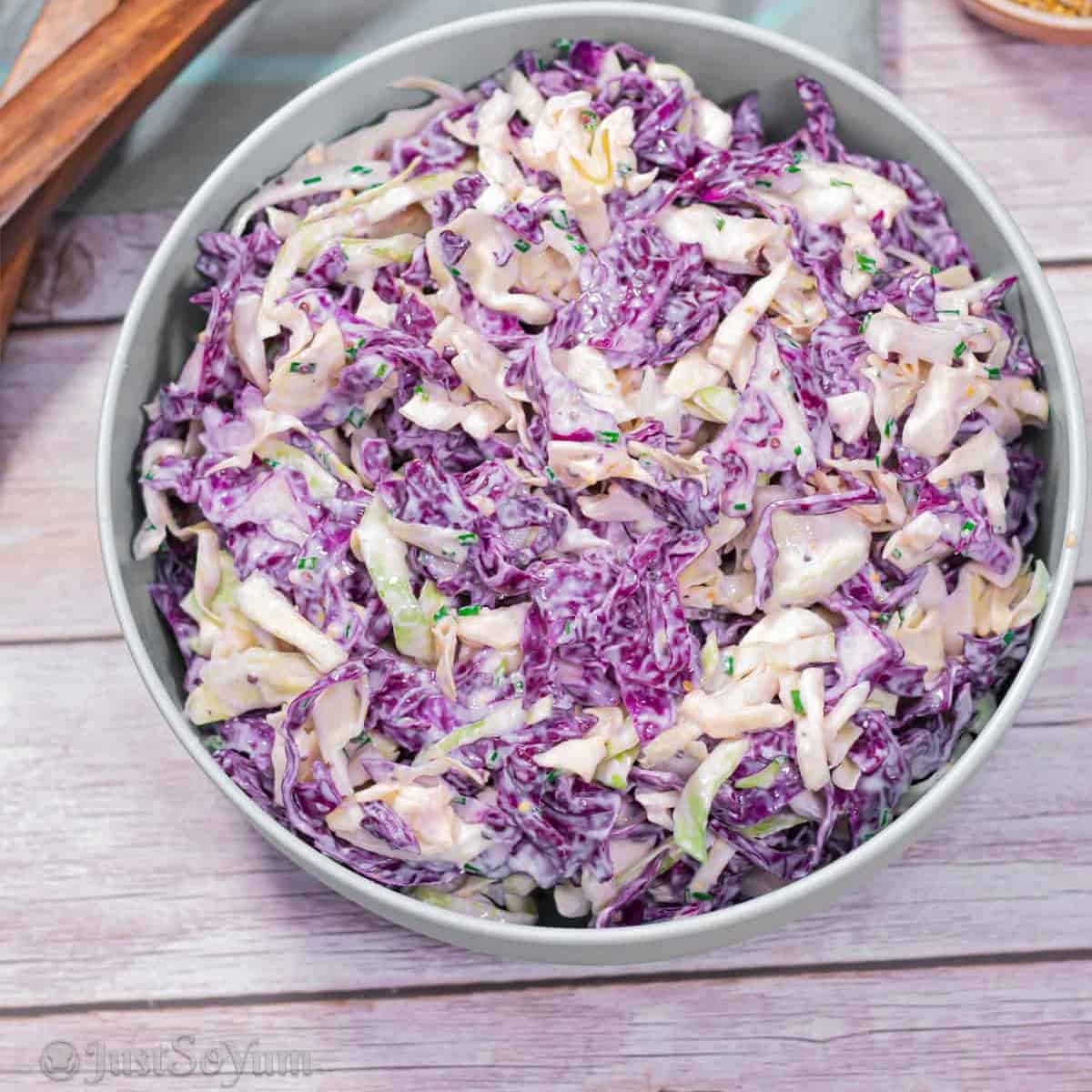 featured-image-for-simple-creamy-mayo-free-homemade-coleslaw