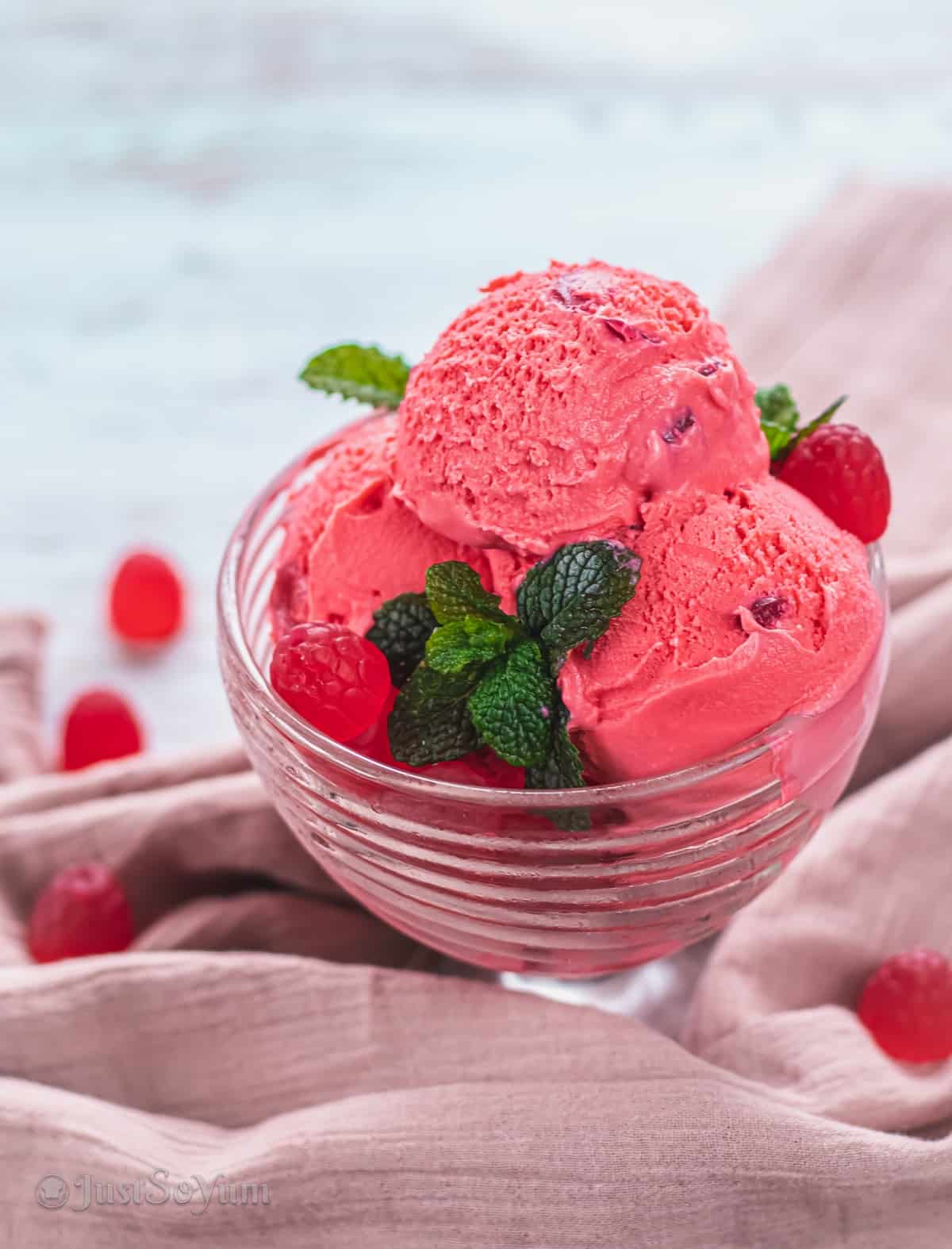 post-image-for-creamy-no-cook-raspberry-ice-cream-recipe